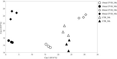 Beyond the Visible and Below the Peel: How UV-B Radiation Influences the Phenolic Profile in the Pulp of Peach Fruit. A Biochemical and Molecular Study